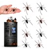 8PCS 3D Realistic Magnetic Spiders for Halloween Cars & Fridge