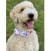 Elegant Little Tail Dog Collar - Soft Girl Bow Tie
