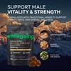 Shilajit Gummies for Men – 75% Fulvic Acid, Energy &