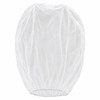 Plant Protection Netting for Fruit Trees & Garden Plants –