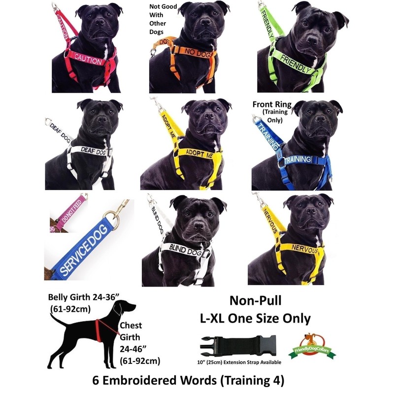 CAUTION (Do Not Approach) Red Colour Coded S-M L-XL Dog