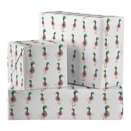Hunts England - 5 Sheets Of Duck Birthday Fun Wrapping Paper For Him Or Her - Includes 5 Gift Tags - Countryside Collection - Animal Premium Gift Wrap For Boys, Girls, Kids, Men, Women, etc.