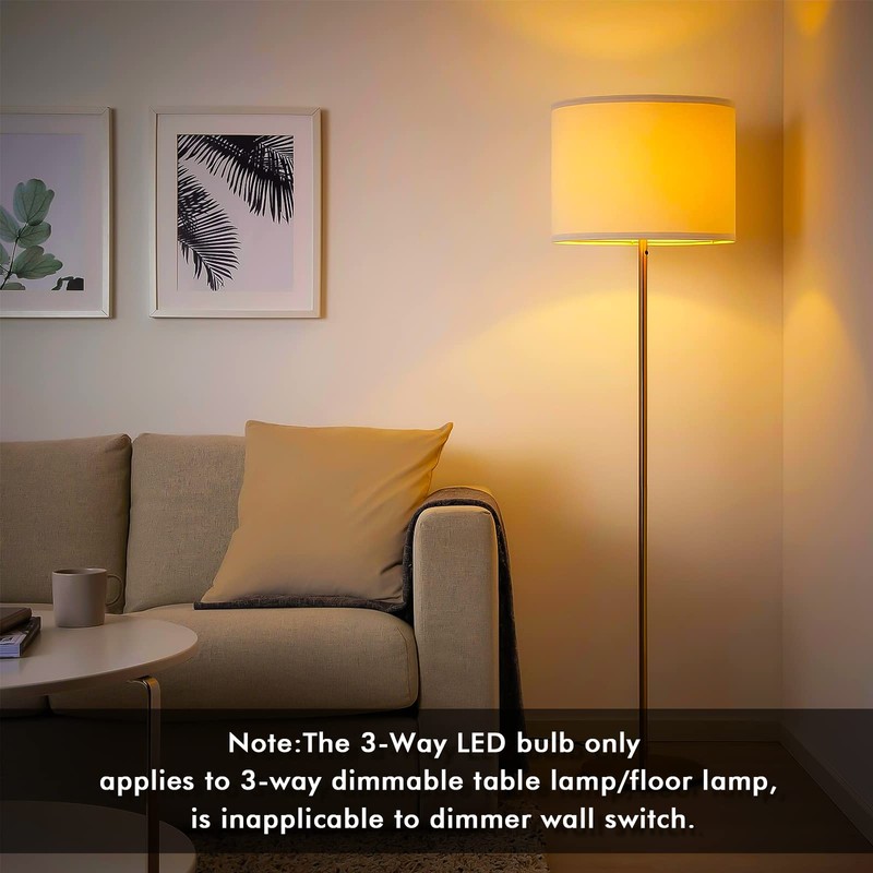 Zorykn 3 Way LED Light Bulbs, 40 60 100 Watt