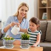 Dwitkul 5 Pezzi Vaso Trasparente per Orchidee, Vasi per Orchidee