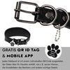 FAVPET Luxury Genuine Leather Greyhound Collar Wide with QR Code