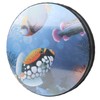 Hand Drum Sea Sound Ocean Wave Orff Percussion Children 10in