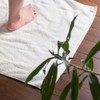 Bloom Imabari Towel Certified Leon Bath Mat Set of 2