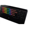 Learning English Hebrew with NIKUD Colored New Keyboard Decals