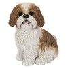 Vivid Arts - Real Life-like Shih-Tzu - XRL-SZ12-D