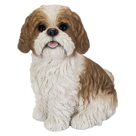Vivid Arts - Real Life-like Shih-Tzu - XRL-SZ12-D