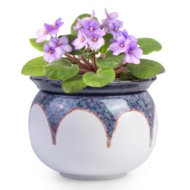 African Violet Pots, 6 inch Ceramic Easy Self Watering Plant Pot for Busy Plant Lovers, Automatically Absorb Appropriate Amount of Water, Flower Pot Indoor-Plants Not Included(Red)