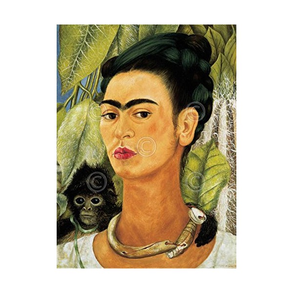 Picture Peddler Self Portrait with Monkey 1938 by Frida Kalo Animal Woman Famous People Spanish Print Poster 16x20