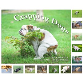 Gag Gifts - Calendar 2025, White Elephant Gifts, 2025 Calendar, 2025 Wall Calendar Pooping Dogs, JAN 2025 - DEC 2025, Funny Calendar 2025, 11" x 17" (Open), 12 Monthly Calendar Planner Pooping Pooches Calendar 2025