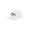 Callaway Golf 2023 Performance Pro Hat (White/Green)