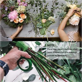 Woohome 400 Pieces Flower Arrangement Kit, Flower Arrangement Tool Kit, with 26 Gauge 60 cm Flower Wire, Wire Pliers for Arranging Flowers, Making Flowers Crafts