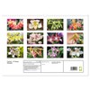 Orchid - A Flower Wonder (Wall Calendar 2026 DIN A3