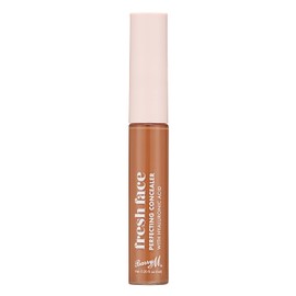 Fresh Face Perfecting Concealer infused with Hyaluronic Acid, Shade 13