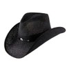 Stetson Men's Cowboy, Black, M