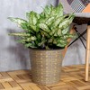 TREATLIFE HOME Self-Watering Wicker Decor Planter for Indoor and Outdoor