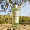 La Provençale Bio AOC D3636601 Anti-Ageing Microcells, Organic Olive Oil