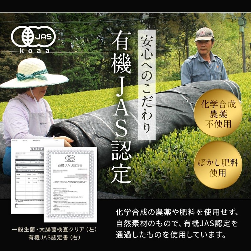 Sannen Bancha 0.07 oz (2 g) x 40 Packets