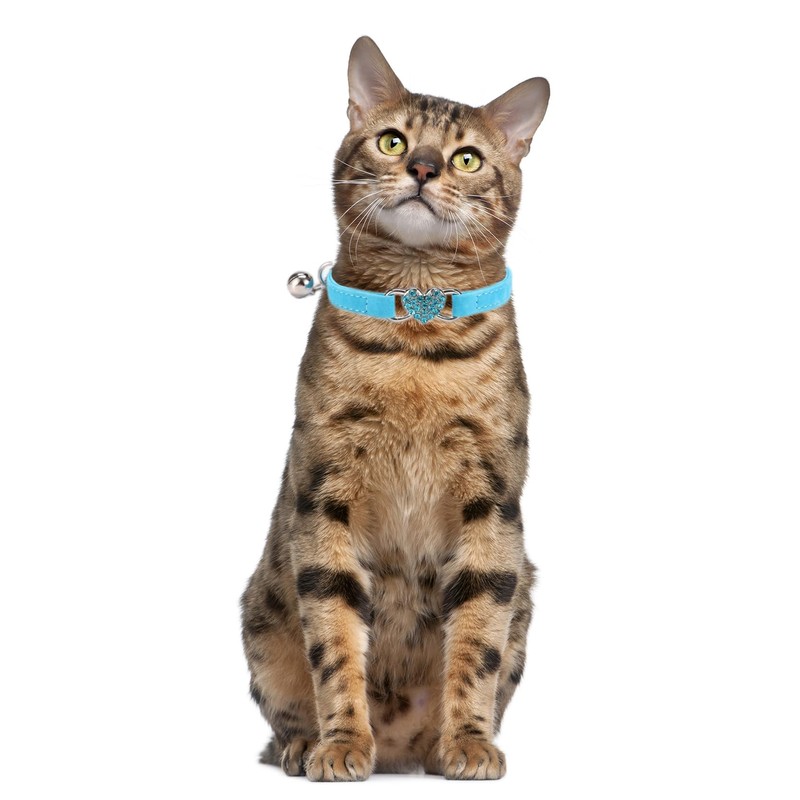 Small Dog Collars with Bell, Bling Rhinestone Heart Soft Velvet