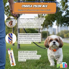 Fancy Pets Collar Galería Color Mix Tamaño Chico para Perro                                                                                           