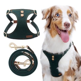 Dog Harness, No Pull Dogs Harness and Multi-Function Leash Set for Medium Dogs Easy Walk Everyday Adjustable Soft Dog Vest Harness Fashionable Dog Accessories Glacier Blue Button-M++