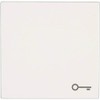 Jung LS990TWW Cover Symbol Rocker Key Design Plus Alpine White