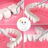 Dog Dental Tooth Tool,3 PCS Stainless Steel Dentist Teeth Cleaning