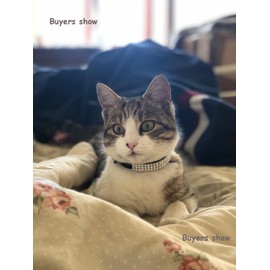 CHUKCHI Soft Velvet Safe Cat Adjustable Collar Bling Diamante with Bells,11 inch for Small Dogs and Cats (Pink)