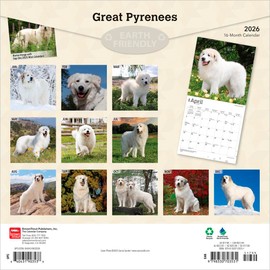 グレート・ピレニーズ 2026年 カレンダー / ブラウントラウト 輸入版 壁掛け 30.5 x 61 cm (Great Pyrenees Calendar)
