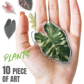 Fridge Magnets Kitchen Magnets, Plant Themed Refrigerator Magnets, Ideal Decor for Home, School Locker and Office, Funny Gift Home Decor