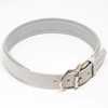Logical Leather Padded Dog Collar - Best Full Grain Heavy