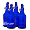 WYNDMERE NATURALS Blue Glass Bottle with Cap 1/2oz, 1 EA