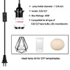 HESSION 2-Pack 15 Feet Plug in Pendant Light, Black Extension