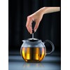 Bodum ASSAM Tea Press, Permanent Filter, Glass Handle, 1.5 L/51