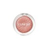 Clinique Cheek Pop / 크리니크 치크팝