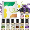 Water Soluble Essential Oil Set Perfect for Diffusers,Humidifiers and Home
