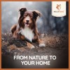 Wildfang® Olive Wood Chewing Sticks for Dogs, Small - Tough