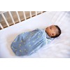 Ergobaby Ergonomic Baby Swaddle Wrap for Newborns, with Hip Positioner