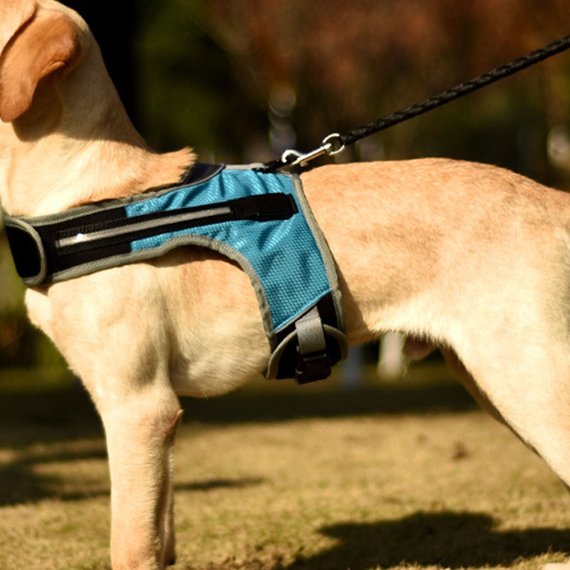 Dog Harness with LED Light Adjustable Comfortable Relieve Neck Pressure