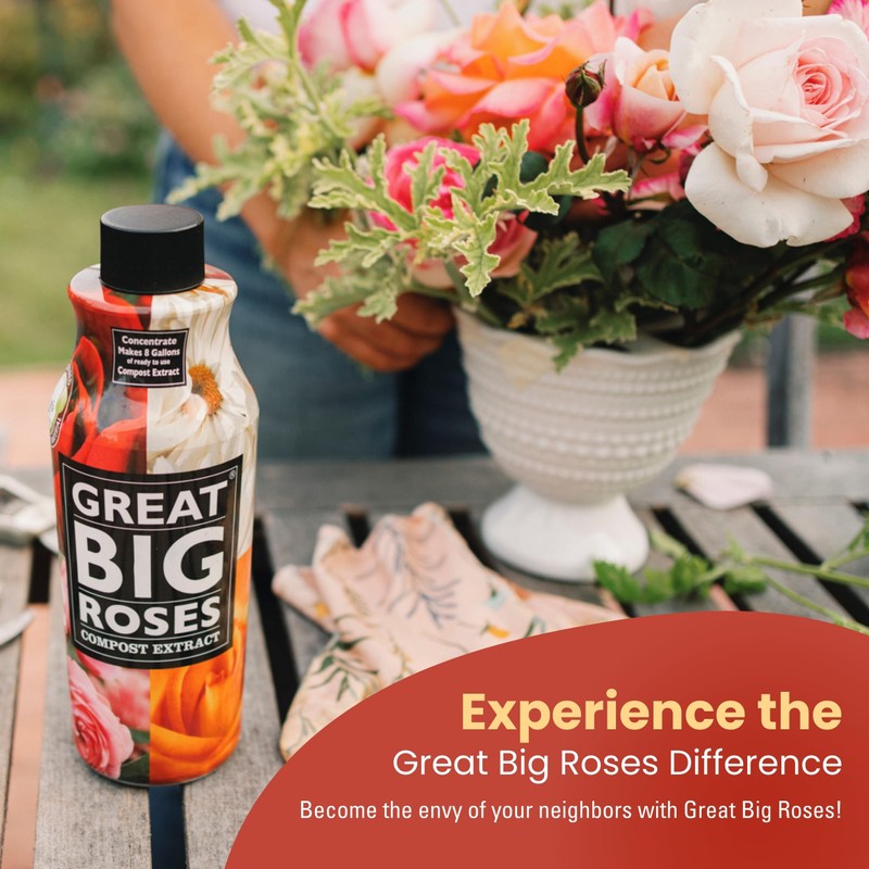 Great Big Roses – Soil and Rose Fertilizer Booster to