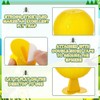 Qualirey Fruit Fly Sticky Trap Balls - 10 Pack Gnat