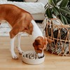 District 70 Bamboo Dog Slow Feeder, 21 cm, Merengue