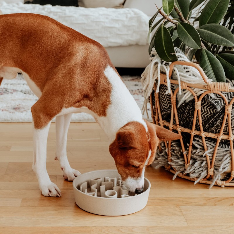 District 70 Bamboo Dog Slow Feeder, 21 cm, Merengue