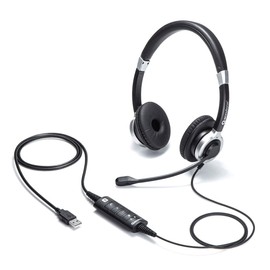 Sanwa Supply MM-HSU15ANC USB Headset with Noise Cancelling Microphone (Binaural)