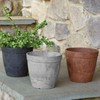 Root & Vessel Dolce Round Planter, Rust, 10"