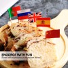 Anley Assorted 100 Different Countries Toothpick Flag Double Sided &
