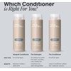 Paul Mitchell The Conditioner 500ml